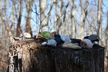 New Jersey Hiking Trail finds - nature landscape