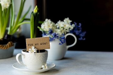 Little boy making a handmade present for his mother - planting a bulb of hyacinth in a white cup, making a postcard saying for my mom. Family values. Recreation, hobby, leisure concept