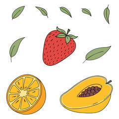 Vector Collection of Ripe Fruits Including Strawberry, Orange and Papaya Isolated on White Background