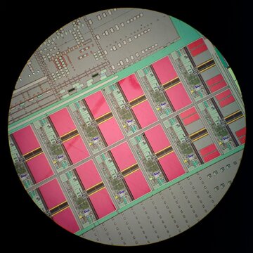 Intricate Circuit Board Design Under Magnification Revealing Details