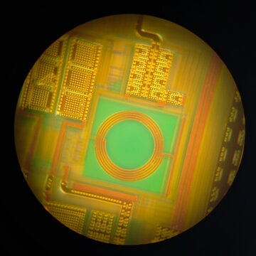 Intricate Circuit Board Design Under Magnification Revealing Details
