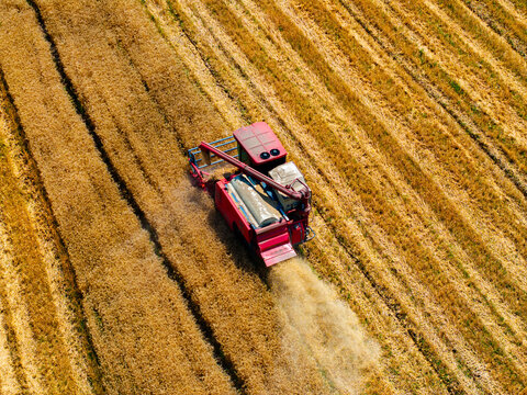 Aerial View of Wheat Harvester at Work