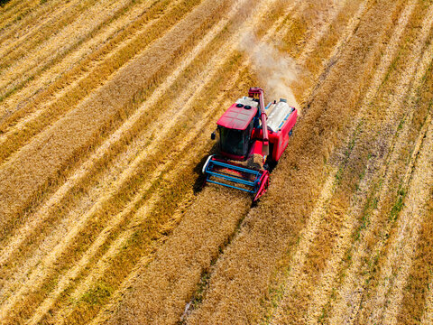 Aerial View of Wheat Harvester at Work