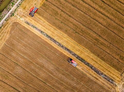 Aerial View of Wheat Harvester at Work