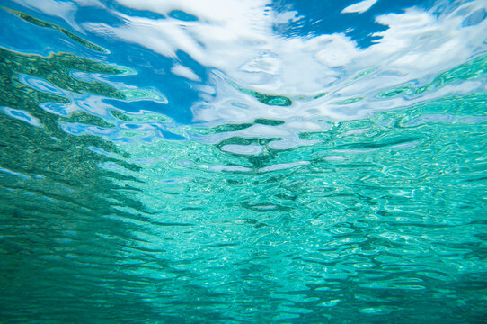 Underwater abstract view, tropical ocean, Cook Islands.