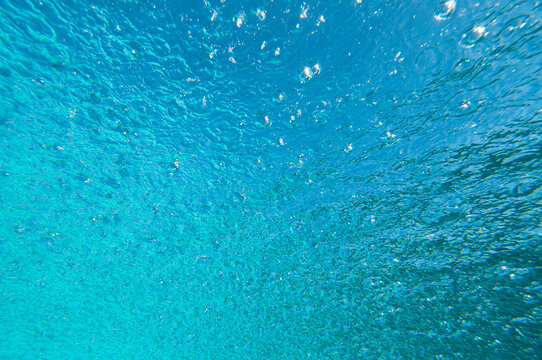 Underwater view of the sea surface, South Pacific.
