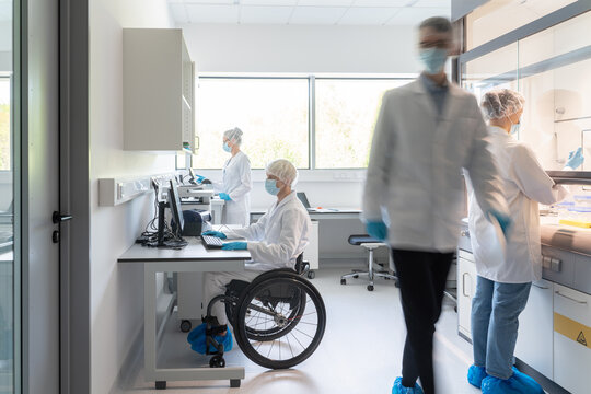 Busy Researchers in Modern Bright Laboratory Room