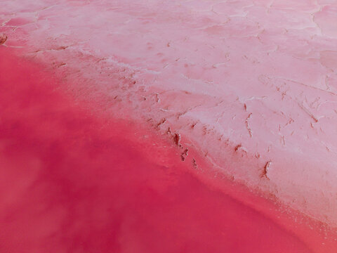 Pink diagonal Abstract