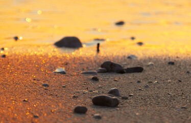 Golden beach with pebbles and sparkling sand summer background