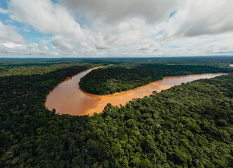 Amazon Jungle River Landscape