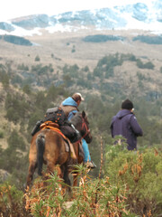 People walking toward the forest for ecological study tours, exploring biodiversity, collecting data, and observing nature in a peaceful and educational environment.