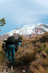 People walking toward the forest for ecological study tours, exploring biodiversity, collecting data, and observing nature in a peaceful and educational environment.