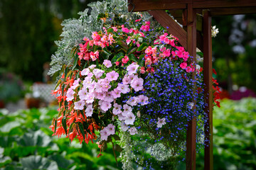 Decorative hanging flower basket with vibrant pink petunias, red begonias, blue lobelia and lush silver foliage floral arrangement for outdoor garden decor, summer landscaping and home exterior design