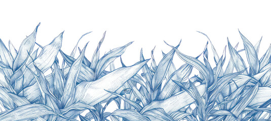 Fototapeta na wymiar PNG Vintage drawing snake plants outdoors pattern nature.