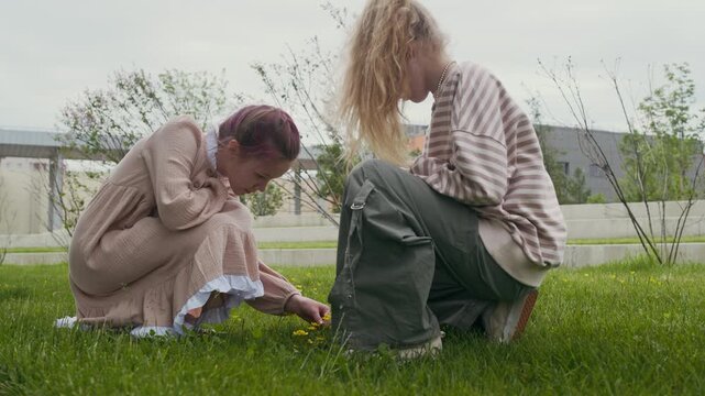 Side view of two serene and carefree youthful girls in casual apparel sitting on squats on green lawn in park on summer day and picking small yellow flowers
