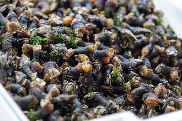 Goose barnacles decorated with seaweed filling white tray