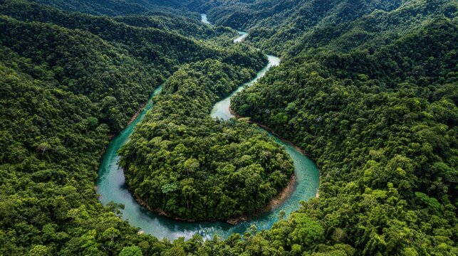 Aerial View of Winding River Surrounded by Lush Green Forests in Vibrant Nature Landscape
