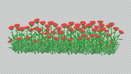 Bright border of red flowers and green grass on a transparent background. Perfect for garden and spring designs, greeting cards, banners, and decorative elements.