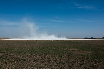 Strong wind blowing in a salt flat in La Pampa province, Patagonia, Argentina.