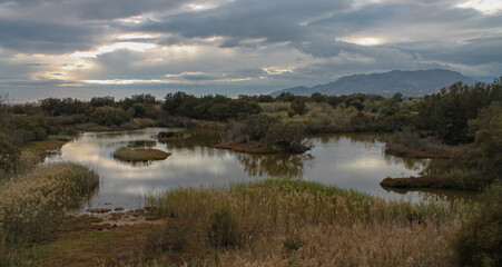 Natural lagoon in the middle of nature