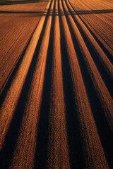 Dramatic Shadows Stretching Across Brown Agricultural Field at Sunset Creating Textured Patterns on the Soil