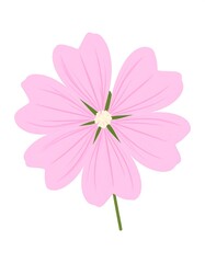 Isolated pink flower