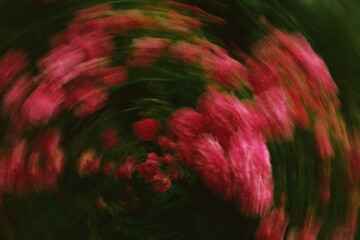 Vibrant pink flowers swirl in a lush garden during springtime