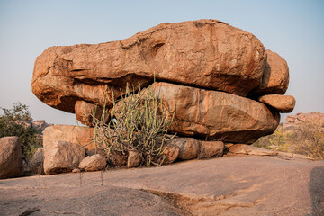 Boulders and bushes.