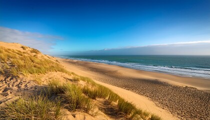 coastal golden dunes descend gently toward the azure sea coastal dunes dotted with hardy desert plants slope down to a vibrant blue ocean