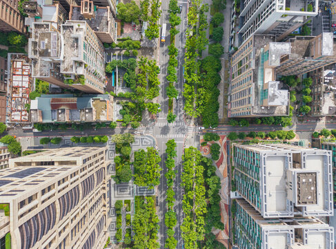 Aerial Urban Cityscape High Rise Buildings Tree Streets