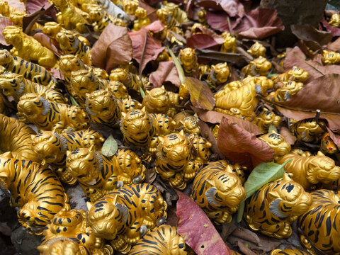 Many golden tiger statues