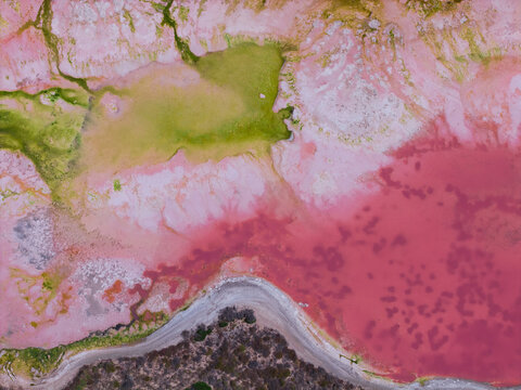 Green and Pink splotches Abstract Art
