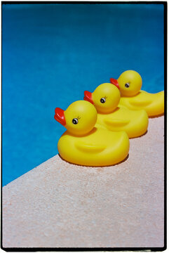 rubber ducks by the swimming pool, 35mm