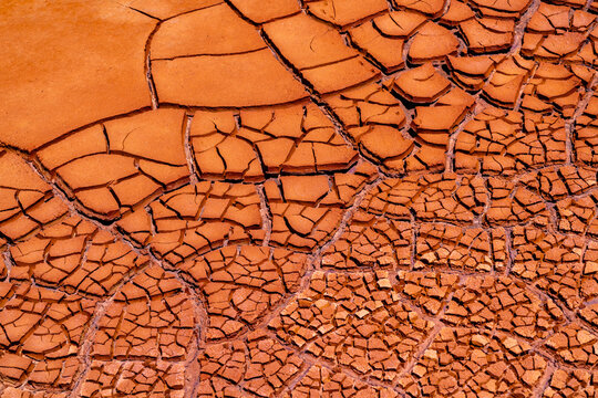 Cracked Earth Texture in Desert Terrain