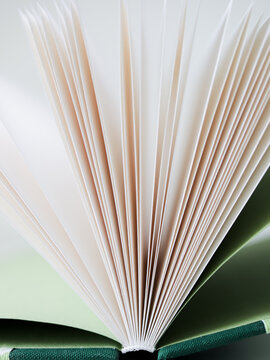 Open book pages fanned out in soft light