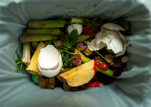Food waste bin