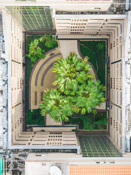 Aerial Residential Courtyard Palm Trees Green Landscape