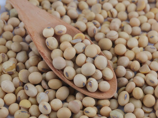 Close up soy beans seeds on wooden spoon.