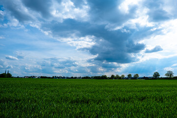 Tranquil green field under dramatic cloudy sky with sun rays.