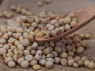 Close up soy beans seeds on wooden spoon.