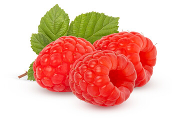 Ripe red raspberries with green leaves on a bunch isolated. Red raspberry berry cut out.