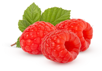 Ripe red raspberries with green leaves on a bunch isolated. Red raspberry berry cut out.