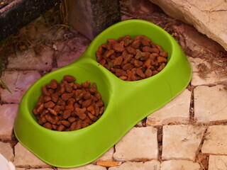 Green double bowl filled with dry food for animals. Such bowls are often used for pets such as dogs or cats to provide food and water separately.