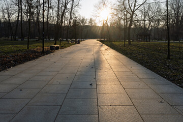A park with a path that is empty and has a lot of leaves on the ground