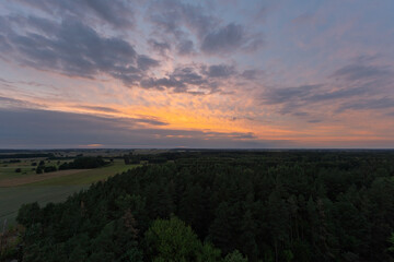 A beautiful sunset over a forest with a few trees in the foreground