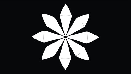 Abstract white flower petal design on black background geometric modern decorative graphic