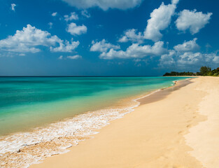 Fototapeta premium Beautiful golden sandy beach and azure ocean in Barbados
