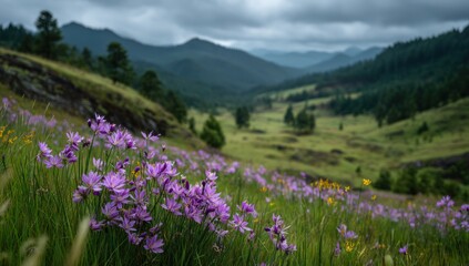 Obraz premium Scenic Mountain Valley with Flowers in Bloom Under a Cloudy Sky
