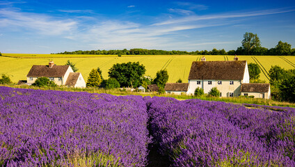 An Excursion to Broadway-Chipping-Camden-Cotswold-Lavender-26
