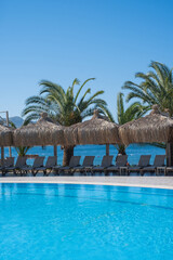 Stunning coastal view with palm trees and beachside loungers at a tranquil resort